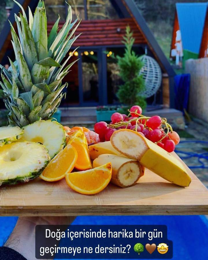 Seyyah Bungalov Sakarya  Dış mekan fotoğraf